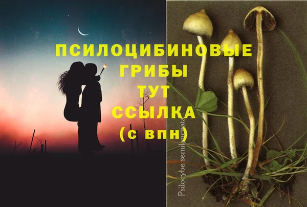 MDMA Дмитровск