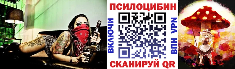 Псилоцибиновые грибы Cubensis  Купить закладки  Ленск 